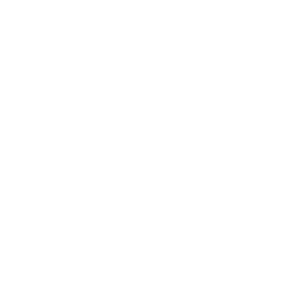 Zivay Webbing
